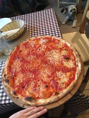 Il Vagabondo